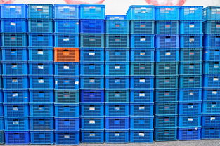 开云真人-NBA球队数据分析助力战术创新研究，nba比较好的数据分析模型