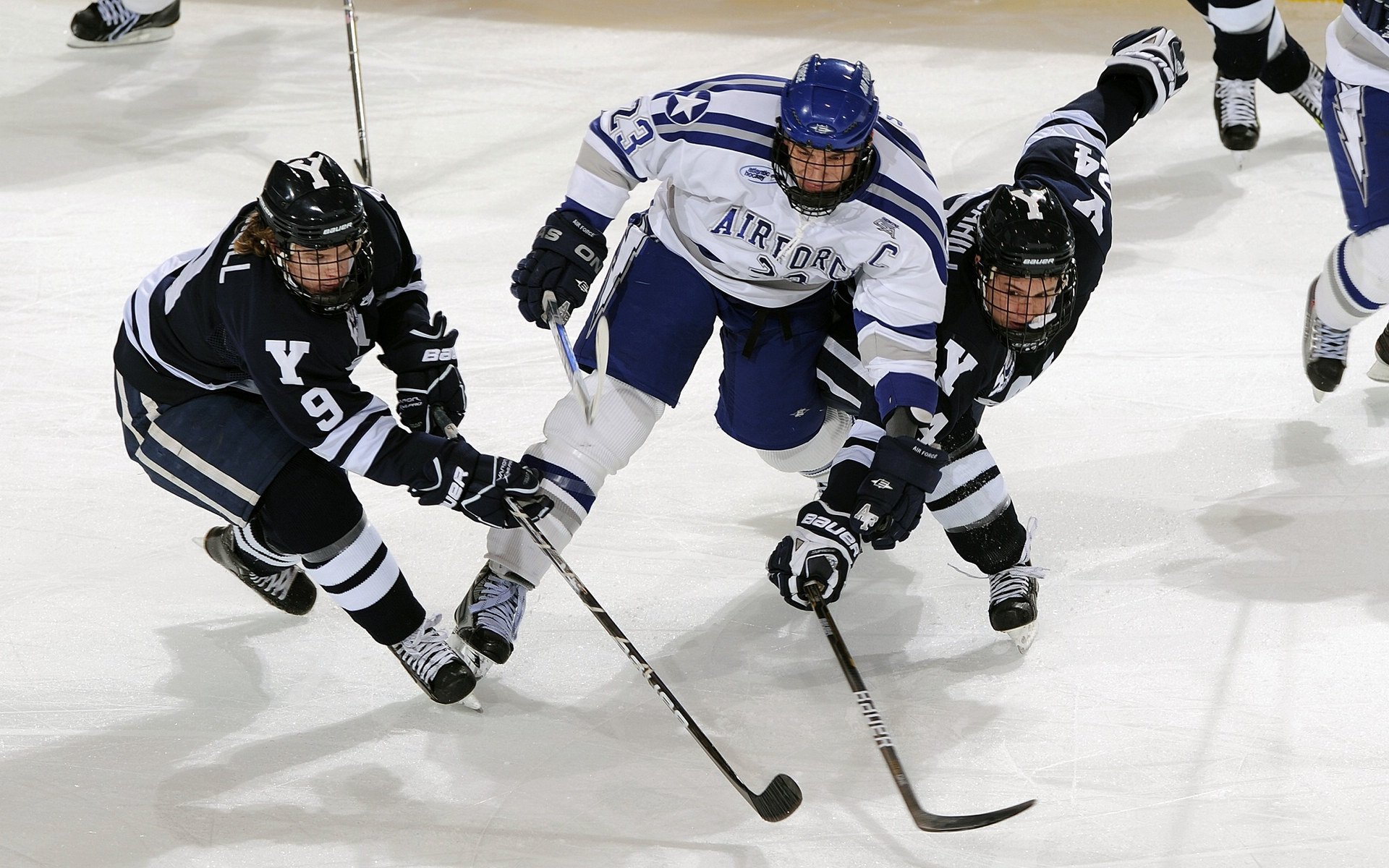 国际比赛日相关的球员保护措施被进一步完善，涉及国际赛事或国际运动员案件